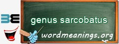 WordMeaning blackboard for genus sarcobatus